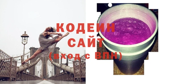 шишки Няндома