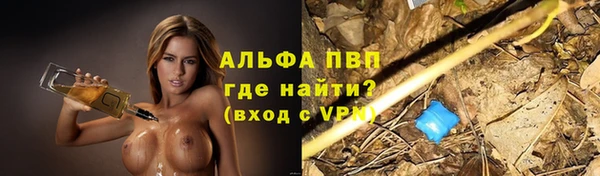 шишки Няндома
