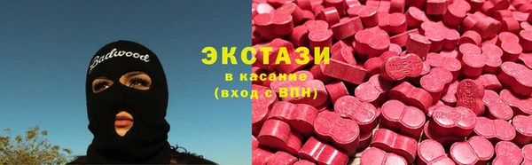 шишки Няндома
