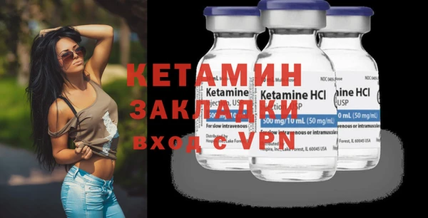 шишки Няндома