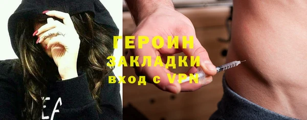шишки Няндома