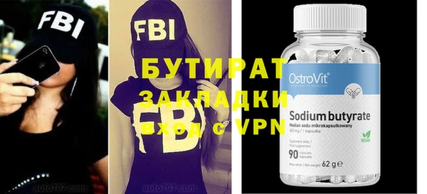 шишки Няндома
