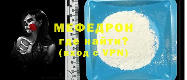 шишки Няндома