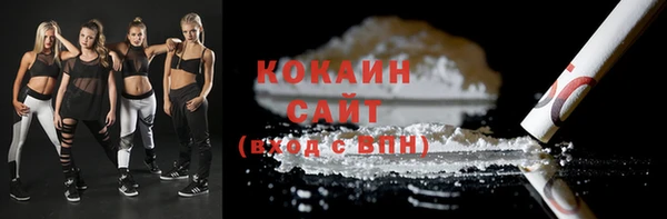 шишки Няндома