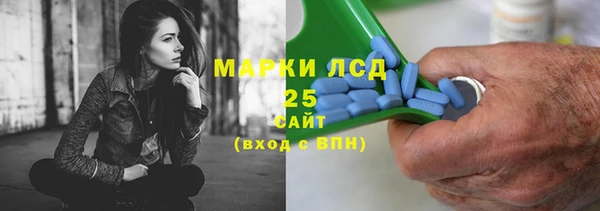 шишки Няндома