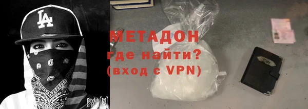 шишки Няндома
