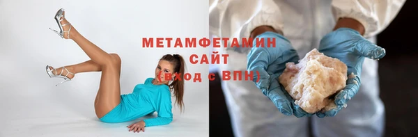 шишки Няндома