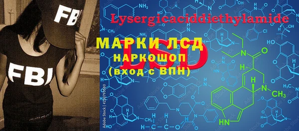шишки Няндома