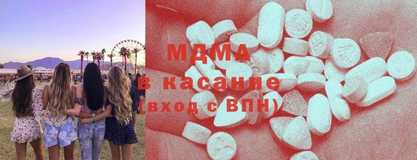 шишки Няндома