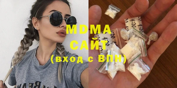 шишки Няндома