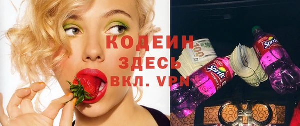 шишки Няндома