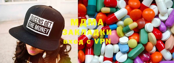 шишки Няндома