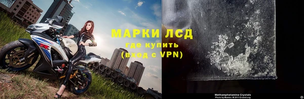 шишки Няндома